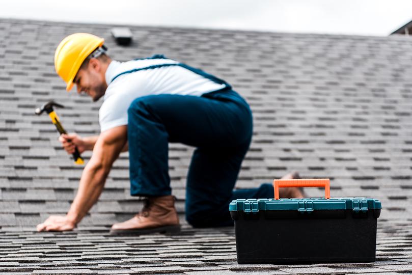 Environmentally friendly green roof installation